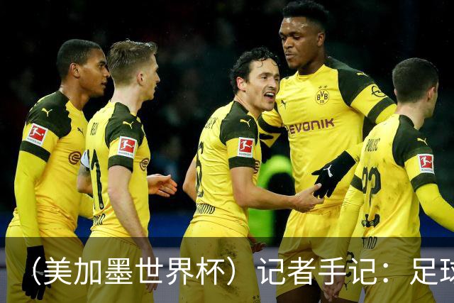 （美加墨世界杯）记者手记：足球世界，规则谁定？